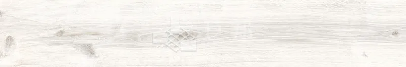 CD林間絮語-白20×120 - 單磚圖