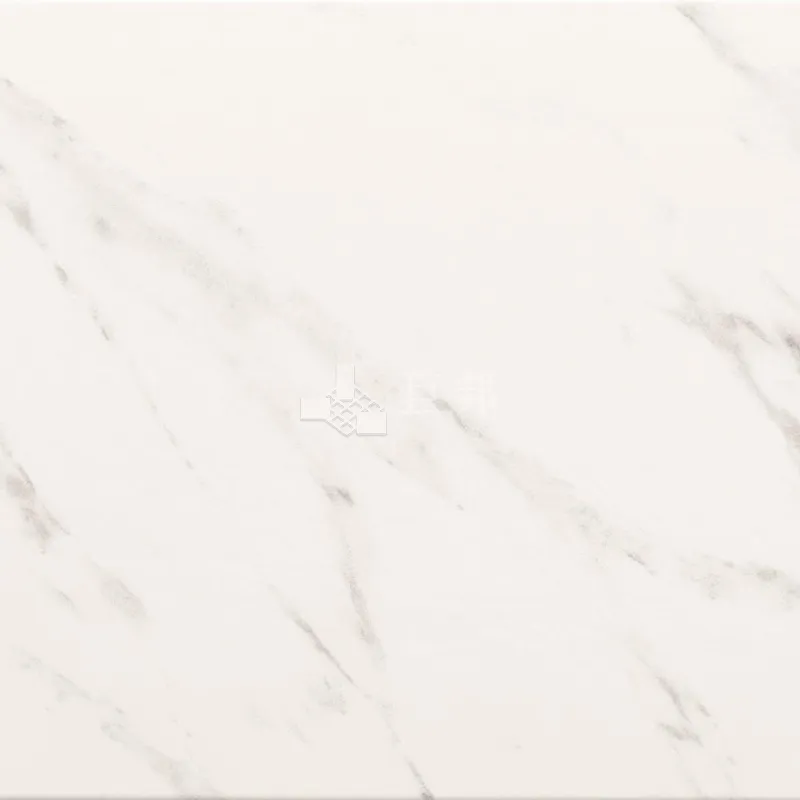 DJ麥哲倫-銀狐 - 單磚圖