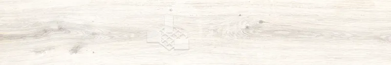 CD林間絮語-白20×120 - 單磚圖