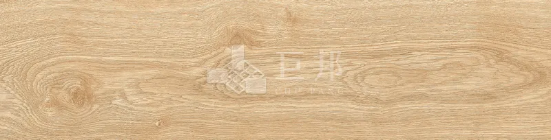 EZ森之語-森林 - 單磚圖