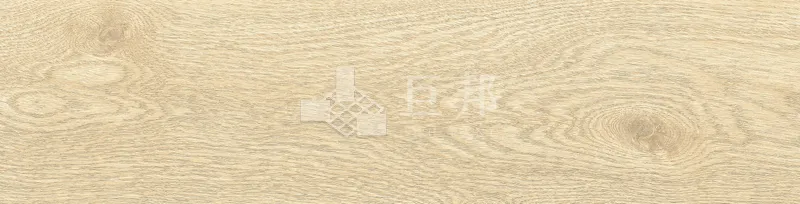 EZ森之語-小徑 - 單磚圖