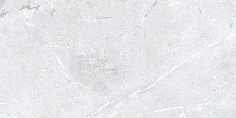DG泰爾-白 - 單磚圖