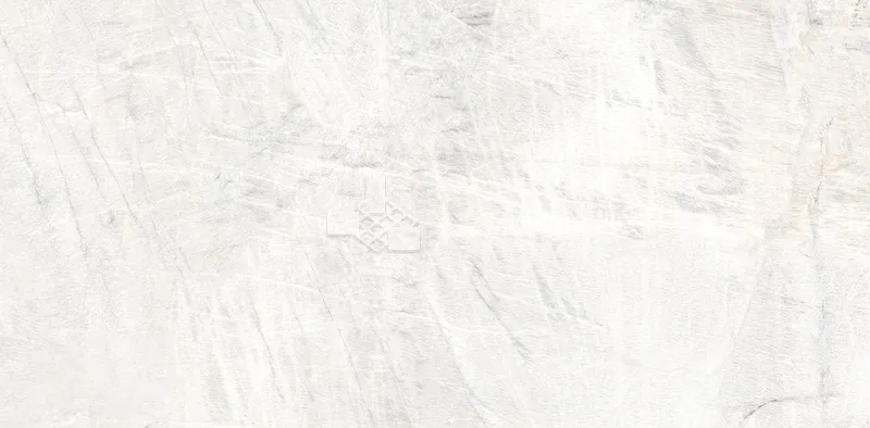 CG驚鴻60×120 - 單磚圖