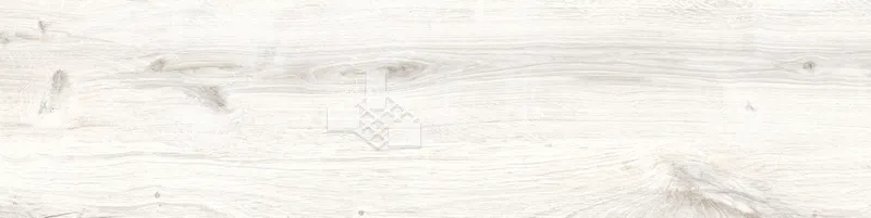 CD林間絮語-白30×120 - 單磚圖