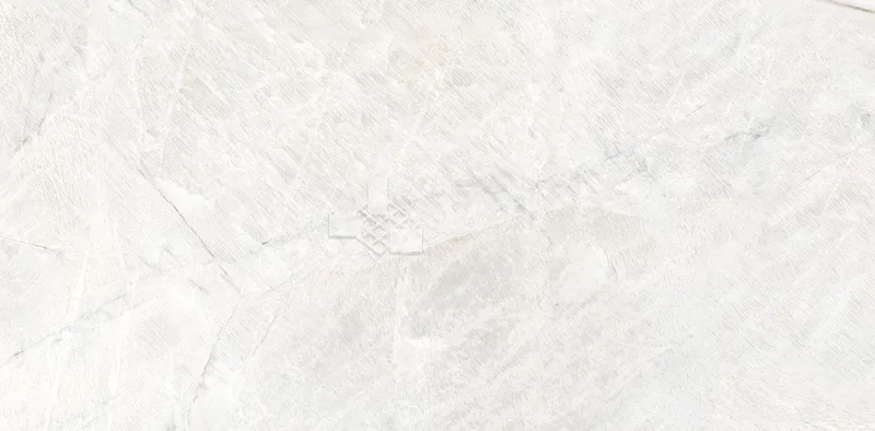 CG驚鴻60×120 - 單磚圖