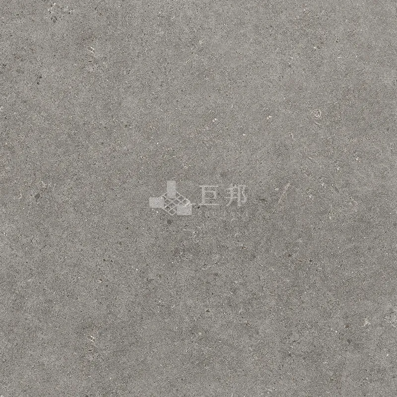 NH澄影石-灰60×60 - 單磚圖