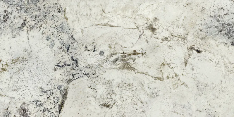 EZ踏雪60×120 - 單磚圖