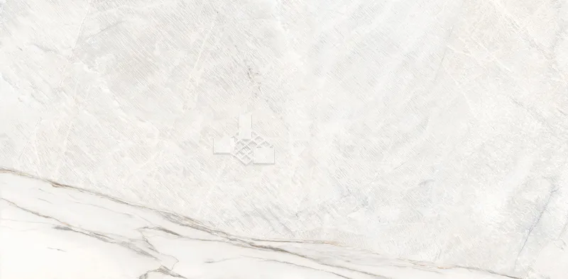 CG驚鴻60×120 - 單磚圖