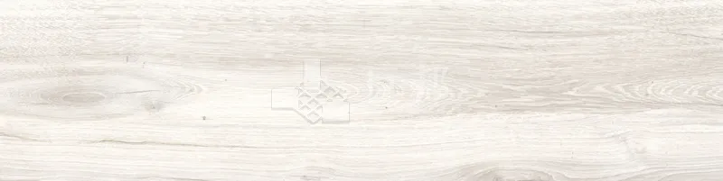 CD林間絮語-白30×120 - 單磚圖