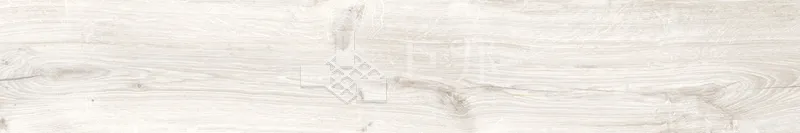 CD林間絮語-白20×120 - 單磚圖