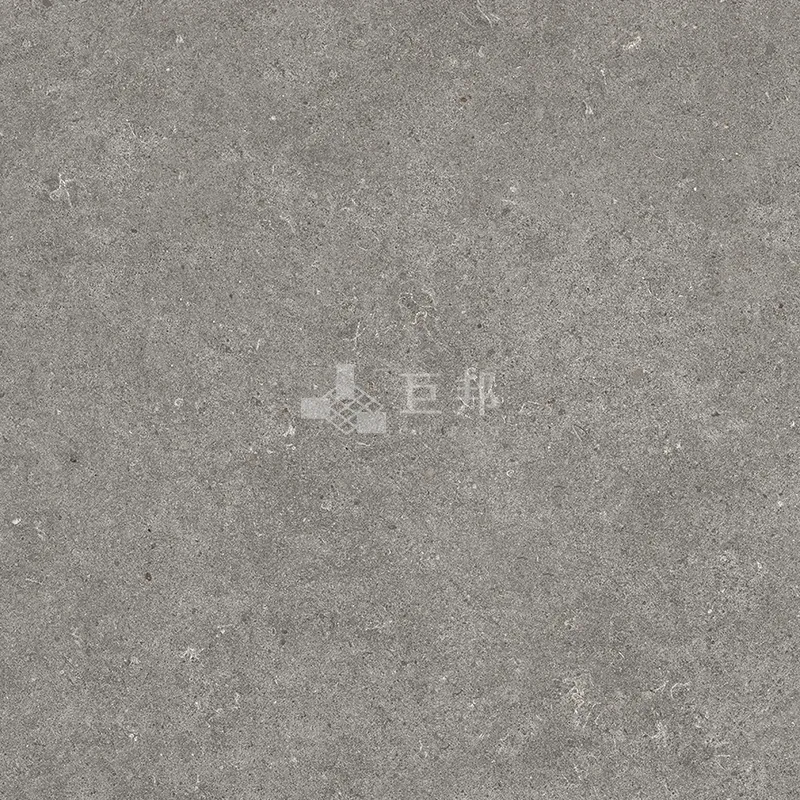 NH澄影石-灰60×60 - 單磚圖