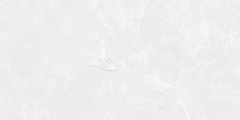 NH多倫多-白30×60 - 單磚圖
