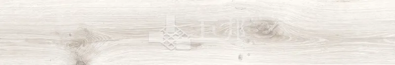 CD林間絮語-白20×120 - 單磚圖