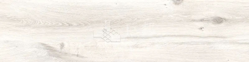 CD林間絮語-白30×120 - 單磚圖