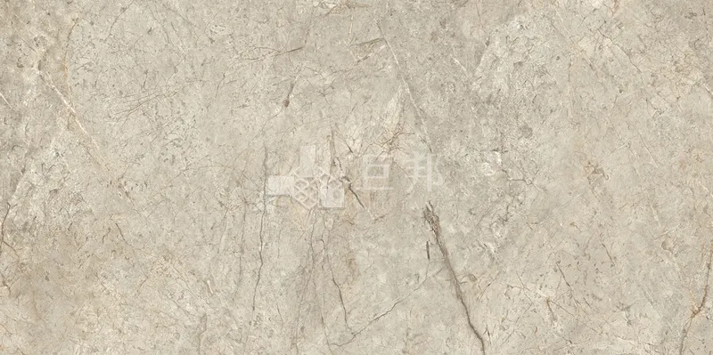 DJ尼采60×120 - 單磚圖