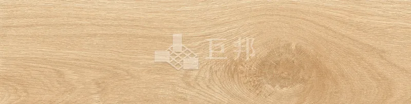 EZ森之語-森林 - 單磚圖