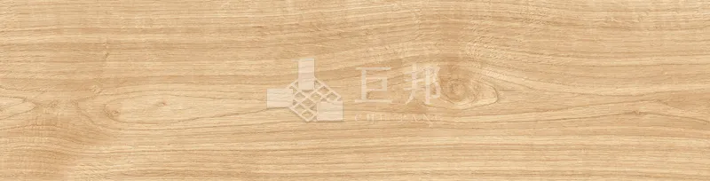 EZ森之語-森林 - 單磚圖
