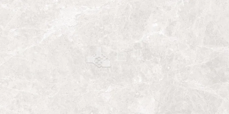 EK歲影石間-淺灰60×120 - 單磚圖
