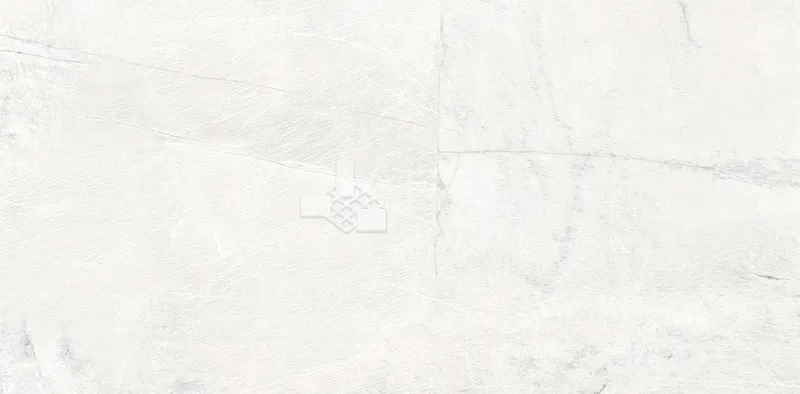 CG驚鴻60×120 - 單磚圖