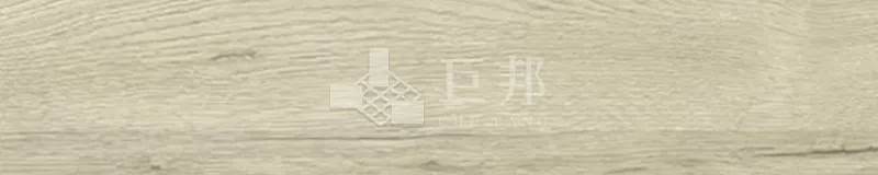 EK瓦爾基麗-米 - 單磚圖