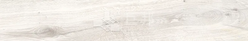 CD林間絮語-白20×120 - 單磚圖