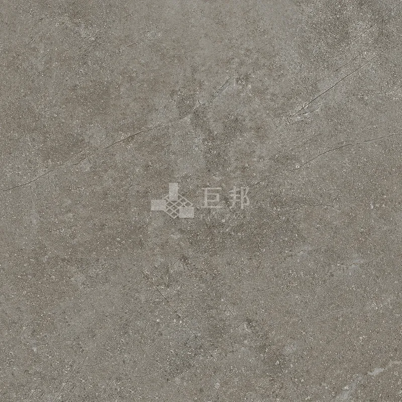 NH藏礦-灰60×60 - 單磚圖