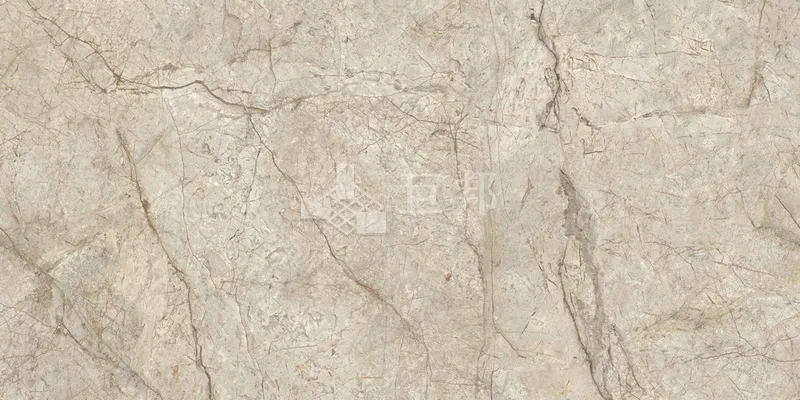DJ尼采60×120 - 單磚圖