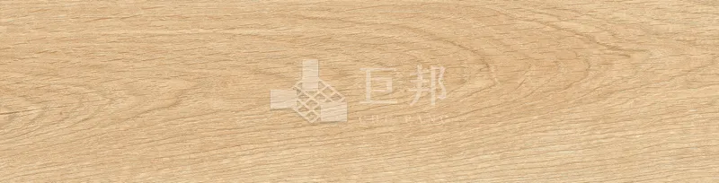 EZ森之語-森林 - 單磚圖