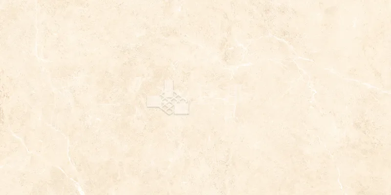 NH多倫多-黃30×60 - 單磚圖