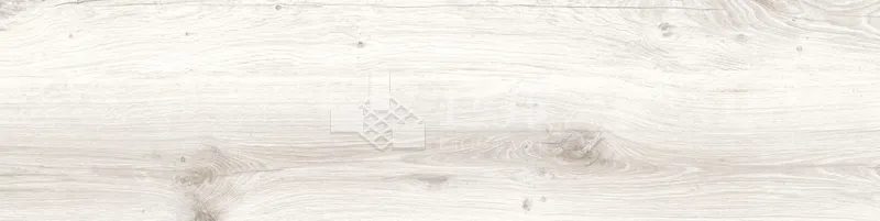 CD林間絮語-白30×120 - 單磚圖