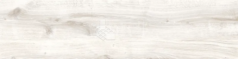 CD林間絮語-白30×120 - 單磚圖