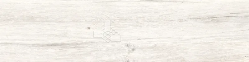CD林間絮語-白30×120 - 單磚圖