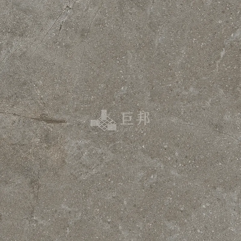 NH藏礦-灰60×60 - 單磚圖