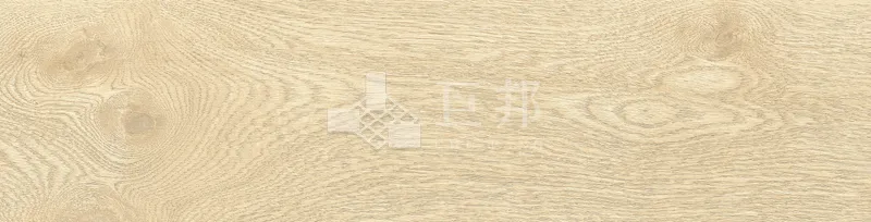EZ森之語-小徑 - 單磚圖