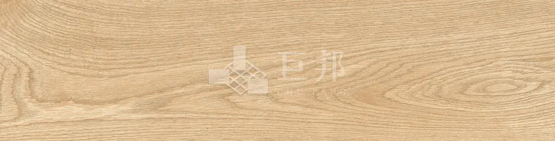 EZ森之語-森林 - 單磚圖