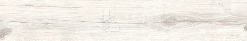 CD林間絮語-白20×120 - 單磚圖
