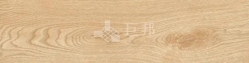 EZ森之語-森林 - 單磚圖