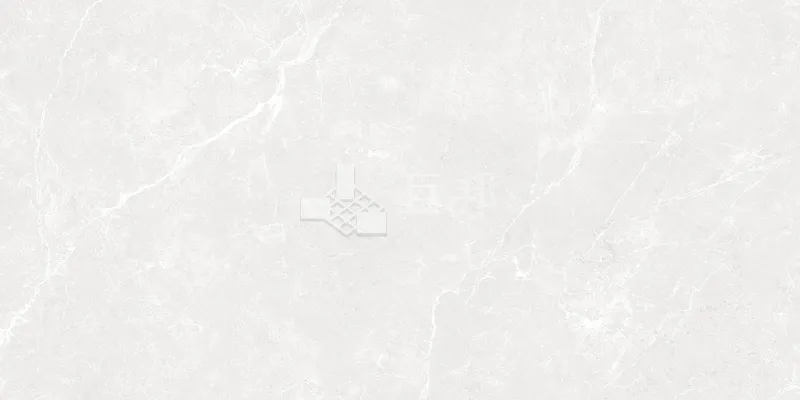 NH多倫多-白30×60 - 單磚圖