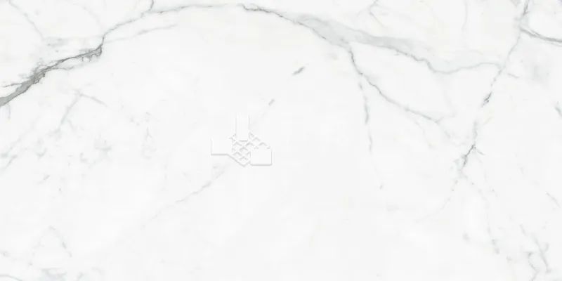 EK歲影石間-銀狐60×120 - 單磚圖