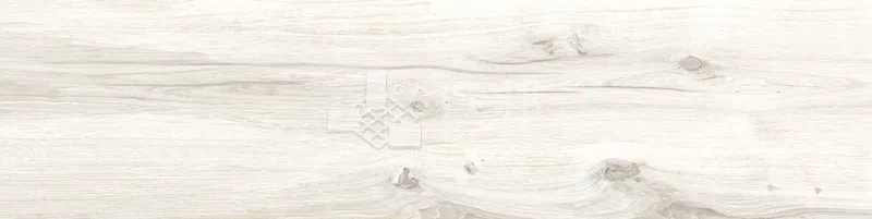 CD林間絮語-白30×120 - 單磚圖