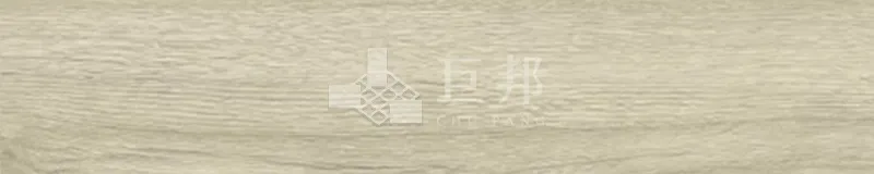 EK瓦爾基麗-米 - 單磚圖