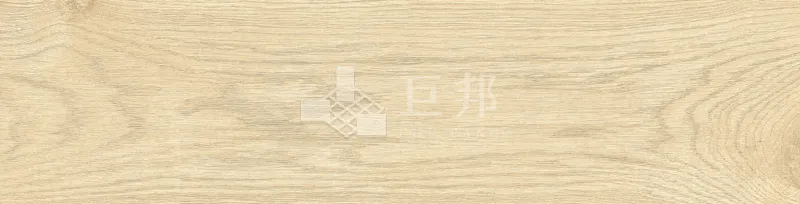 EZ森之語-小徑 - 單磚圖