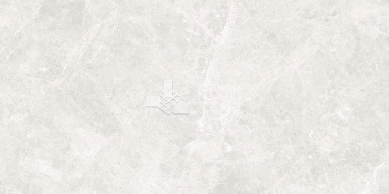 EK歲影石間-淺灰60×120 - 單磚圖
