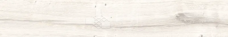 CD林間絮語-白20×120 - 單磚圖