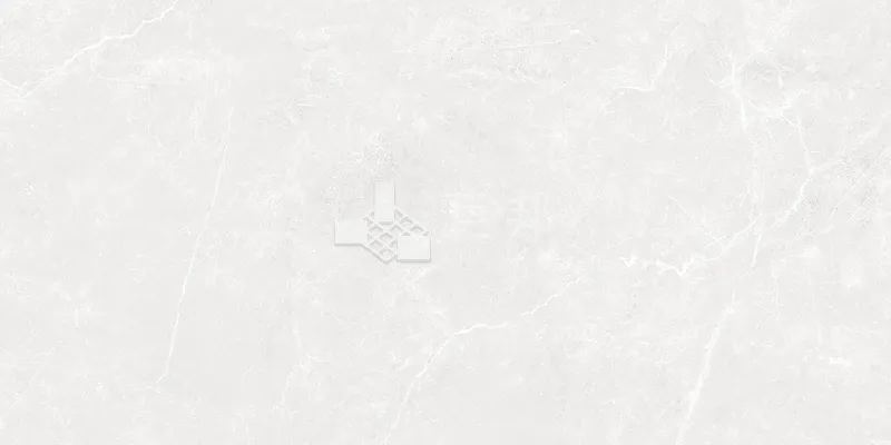 NH多倫多-白30×60 - 單磚圖