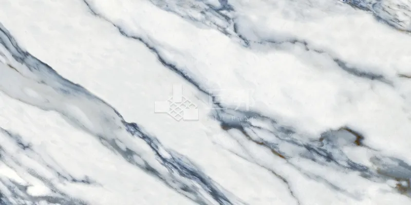 DJ蔚藍海岸60×120 - 單磚圖