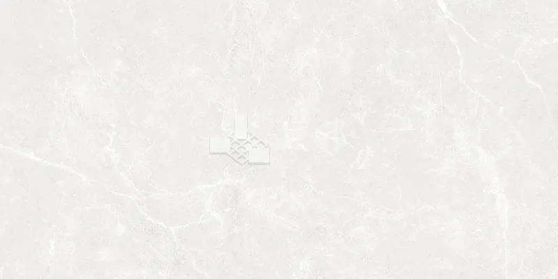 NH多倫多-白30×60 - 單磚圖