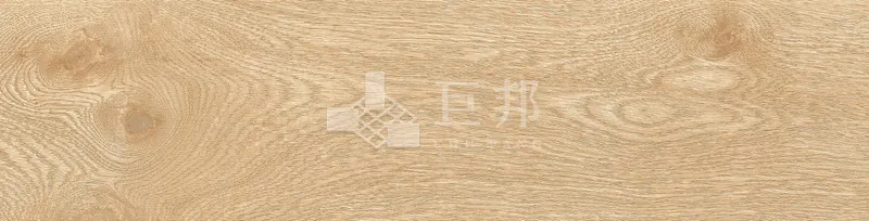 EZ森之語-森林 - 單磚圖